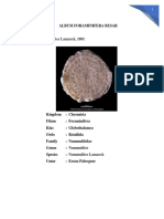 Large Foraminifera Genera Album