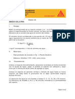 IE073 Ensayo de La Pipa PDF