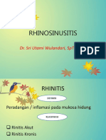 Rhino Sinusitis