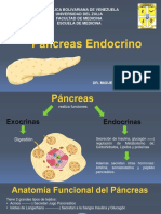 Pancreas Endocrino 2016