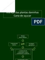 Manejo Das Plantas Daninhas