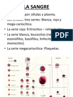 Clase Teórica-Sistema Tegumentario y Anexos