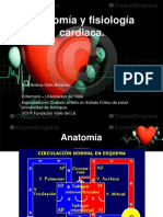 Anatomía y Fisiología Cardiaca