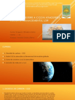 Dragusin Mihaela - Surse de Crestere A CO2 in Atmosfera 2