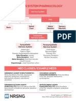 33 Nervous System Handout - 01 PDF