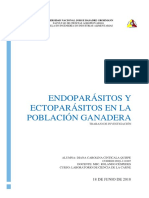 Trabajo de Investigacion Endoparásitos y Ectoparásitos en La Poblacion Ganadera
