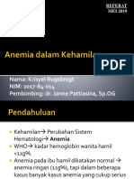 Anemia Dalam Kehamilan