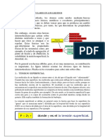 FISICA.docx