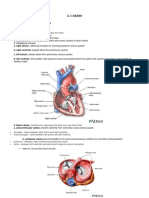 A. Cardio: Anatomy & Physiology - A. Anatomy