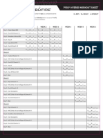 p90x Turbofire Hybrid PDF