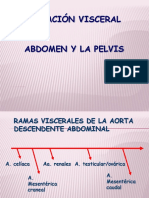 Irrigación Visceral Del Abdomen y La Pelvis 2016