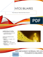 Pigmentos Biliares PDF