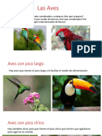 Las Aves Diapositiva