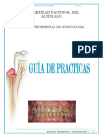 Guía de Prácticas de Prótesis Parcial removible