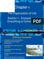 EnvSci CH 4 PPT Organization of Life