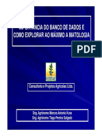 IMPORTÂNCIA DO BANCO DE DADOS E.pdf