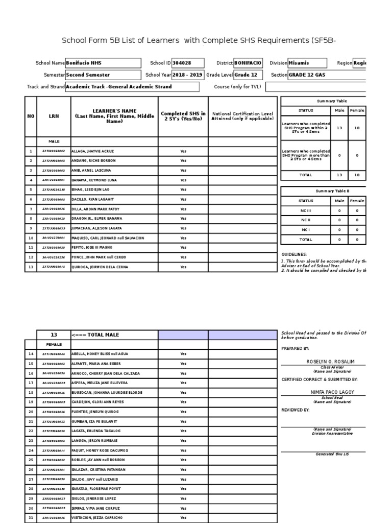 Form 5B: SHS Learners Summary 2019 | PDF