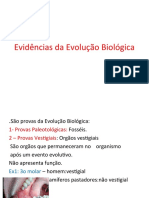 04 Evidencias Da Evolucao Biologica