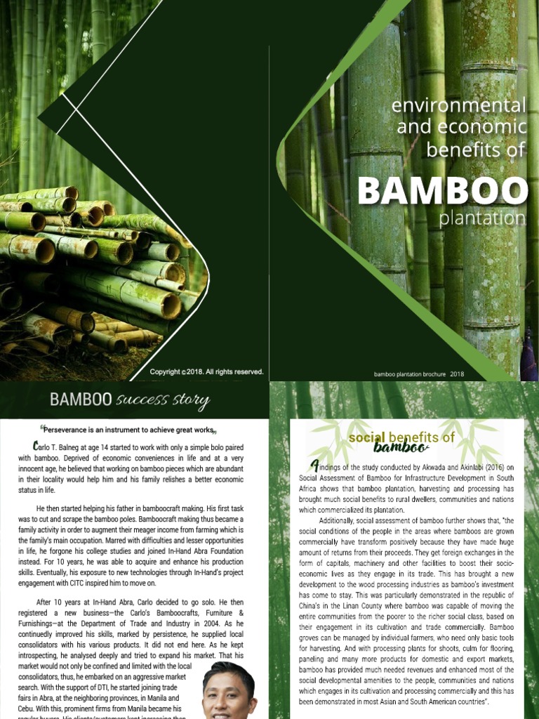 Environmental and Economic Benefits of Bambo PDF | PDF | Bamboo | Lumber