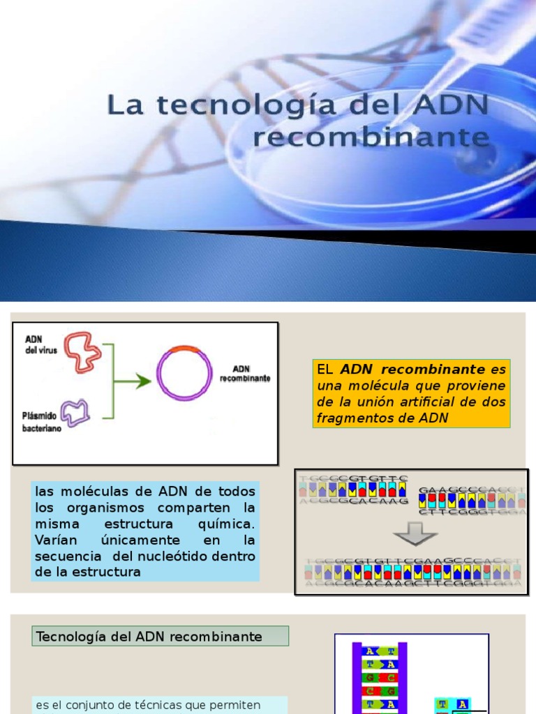 Apuntes de Biotecnología: febrero 2015, image size:768x1024