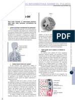 los-pulmones.pdf