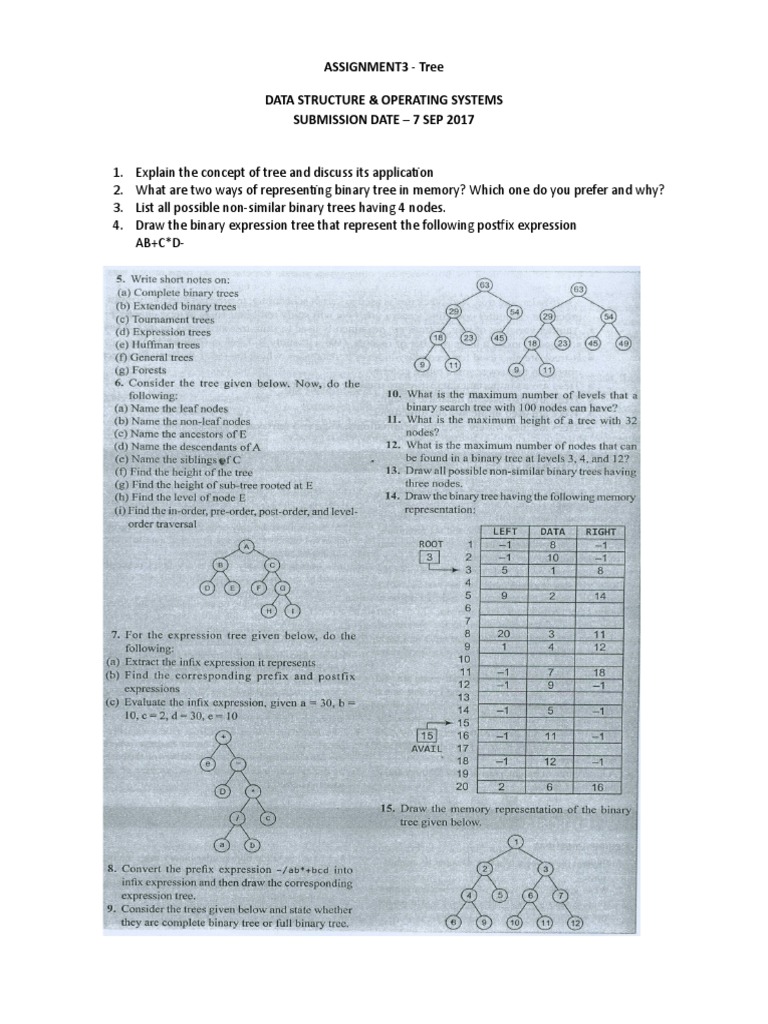 Assignment3 - Tree Data Structure & Operating Systems Submission Date ...