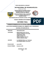 INFORME FINAL - PROYECCION SOCIAL.docx