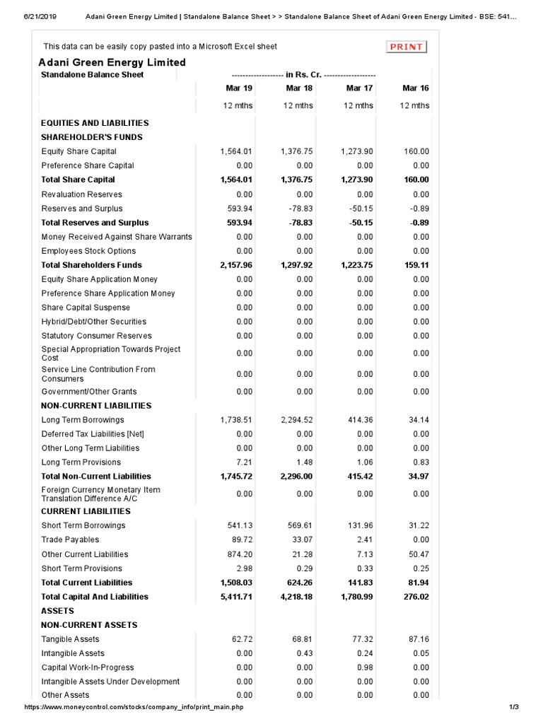 Adani Green Energy Limited: Print | PDF | Balance Sheet | Equity (Finance)
