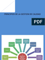 Principios Gestion de Calidad