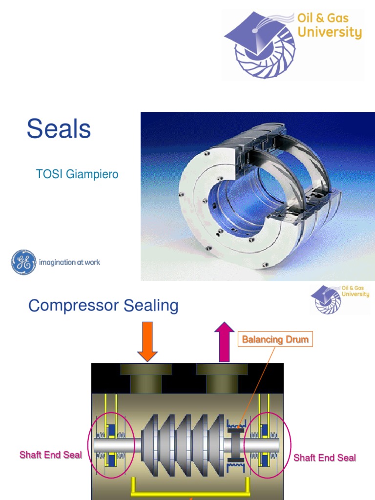 Dry Gas Seals PDF Carbon Silicon