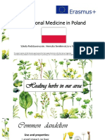 traditional medicine - poland