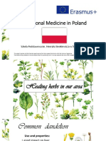 Traditional Medicine - Poland