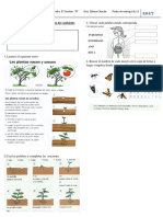 EVALUACIÓN DE CONOCIMIENTO DEL AMBIENTE