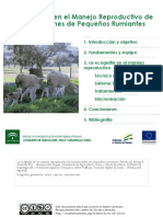 Recomendacíon_Ecografía.pdf