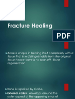 Fracture Healing