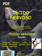 Aula Xerox Tecido Nervoso Fonoaudiologia 4-05-16