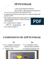 Atp Synthase