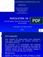 Apresentação - Musculatura Da Coxa