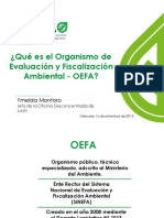 PPT Qué Es El OEFA Final