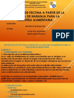 365123559-Obtencion-de-Pectina.pptx