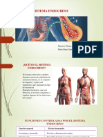 Sistema Endocrino Exposición