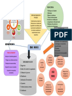 Mapa Mental Iso 9001