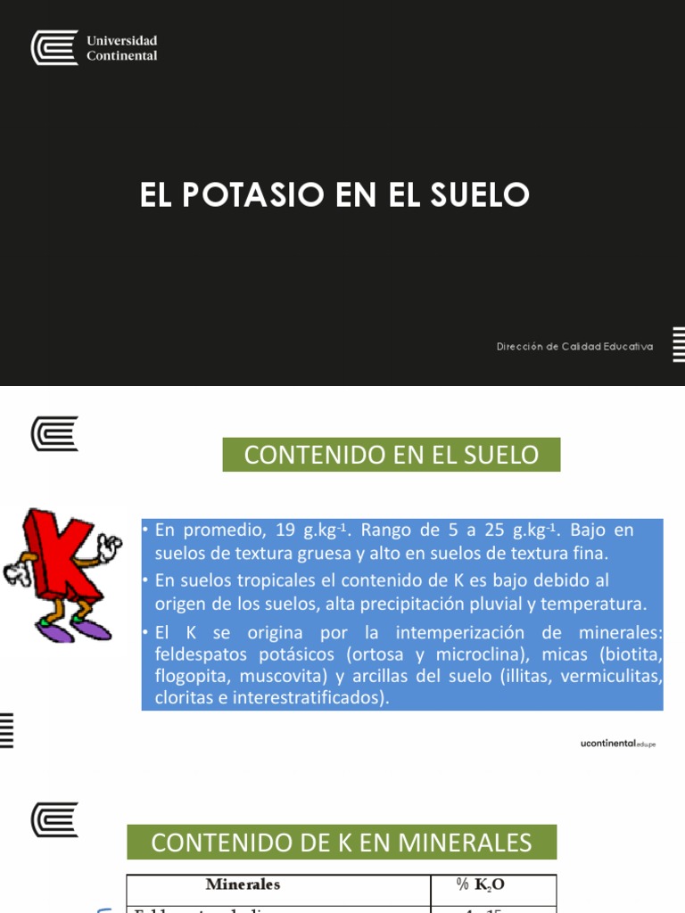 Formas y Ciclo del Potasio en Suelos | PDF | Potasio | Dieta y nutrición