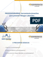 IVAN LOPEZ - Los profesiogramas, herramienta proactiva para prevenir riesgos laborale.pdf