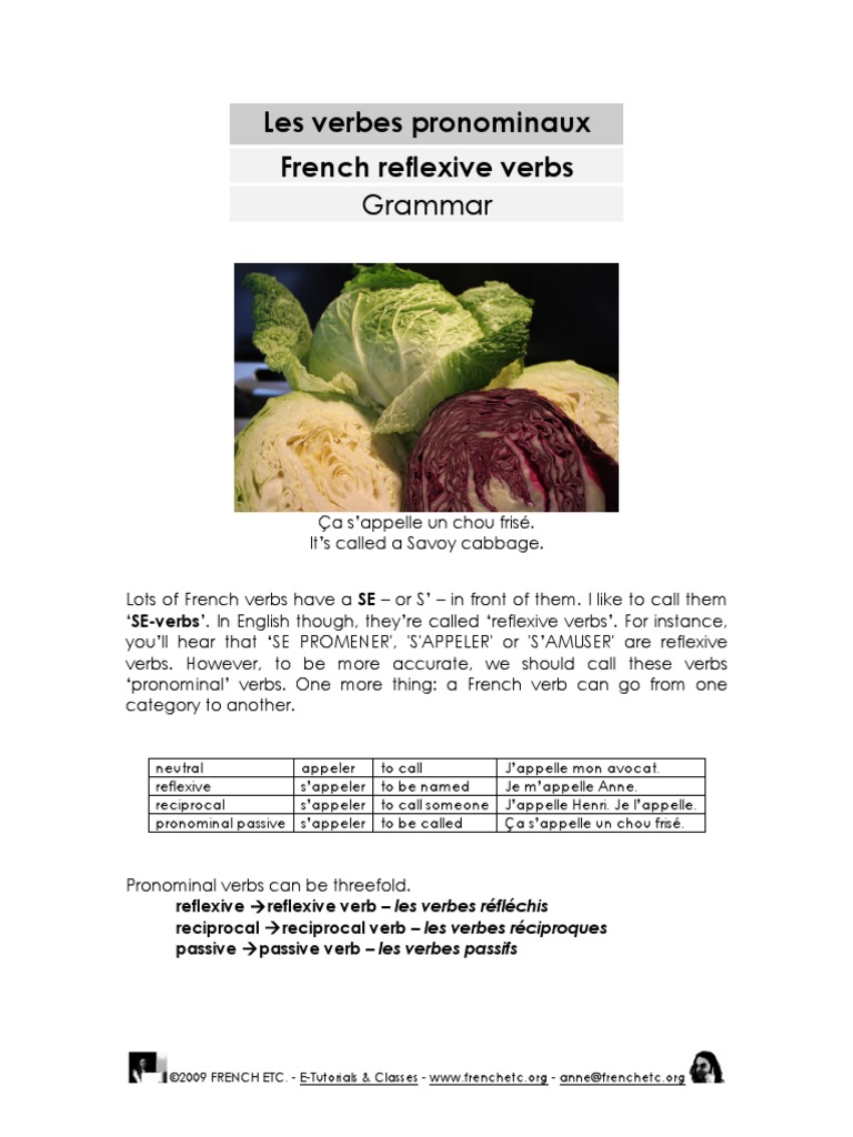 Pronouns And Reflexive Verbs Pdf Pronoun Linguistic Typology