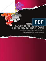 CJS Cap Assmnt FINAL PDF