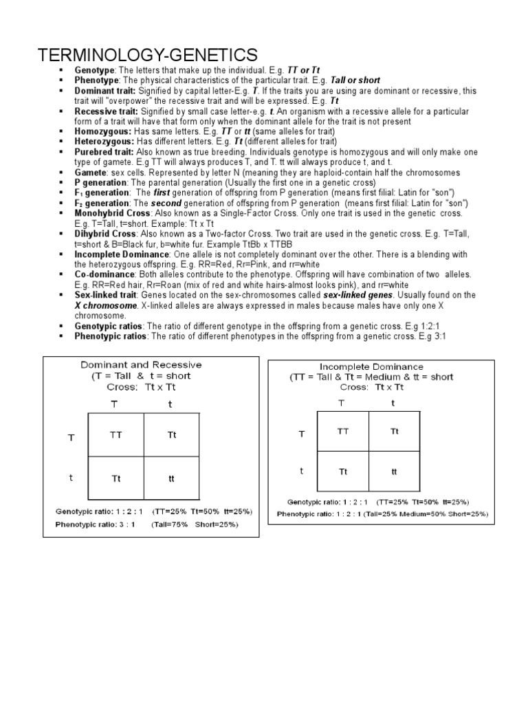 X Chromosome. XLinked Alleles Are Always