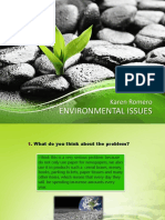 Environmental Issues: Karen Romero