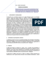 TdR Ingeniero civil 2013.doc