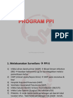 Program Ppi